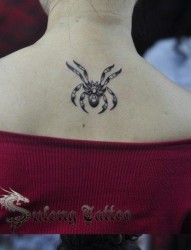 女人背部流行时尚的蜘蛛纹身图片
