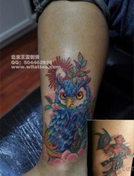 女人腿部流行漂亮的彩色猫头鹰纹身图片