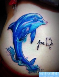 美女腰部漂亮的彩色海豚纹身图片