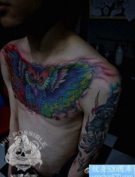 男性前胸超帅的彩色猫头鹰纹身图片
