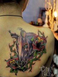 女人背部流行经典的马纹身图片