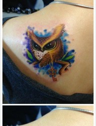 女人背部可爱很萌的猫头鹰纹身图片