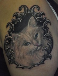 手臂一张经典帅气的白色猫咪纹身图片