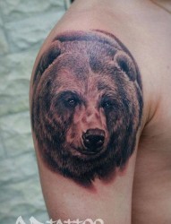 手臂帅气经典的灰熊纹身图片