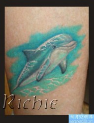 腿部好看经典的海豚纹身图片