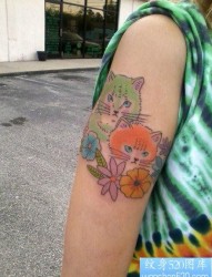 女人手臂呆呆的可爱的猫咪纹身图片