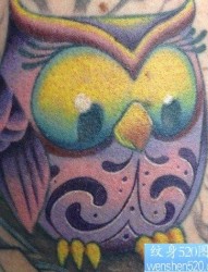 一张可爱有点萌的猫头鹰纹身图片
