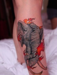 腿部超酷帅气的一张大象纹身图片