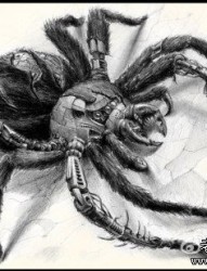 一张前卫超酷的蜘蛛纹身图片