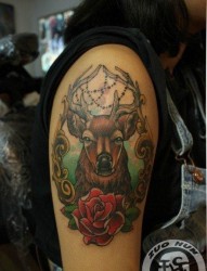 女人手臂流行前卫的小鹿纹身图片