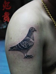 手臂前卫经典的一张鸽子纹身图片