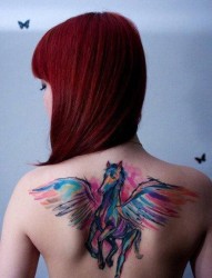 女人后背前卫精美的彩色天马纹身图片