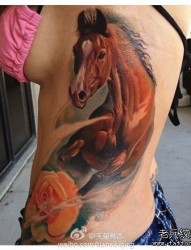 美女侧腰精美的欧美彩色马纹身图片