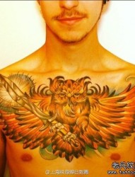 男生前胸超帅的猫头鹰纹身图片