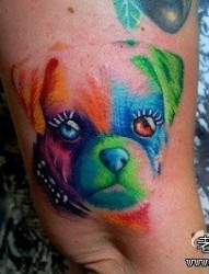 手臂前卫经典的一张彩色小狗纹身图片