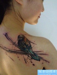 女人肩背前卫精美的麻雀纹身图片