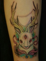 女人腿部前卫经典的鹿角兔子纹身图片