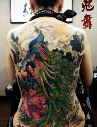 美女背部漂亮精美的满背孔雀纹身图片