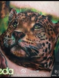 腿部一张经典前卫的彩色豹头纹身图片