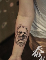 手臂可爱前卫的小狗纹身图片