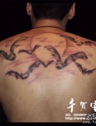 男性后背流行前卫的蝙蝠纹身图片