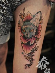 女人腿部流行很酷的猫咪与花卉纹身图片