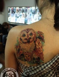 女人肩背好看经典的猫头鹰纹身图片