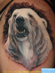 给喜欢北极熊的纹身爱好者推荐一张纹身图片