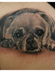 超可爱的一张写实小狗纹身
