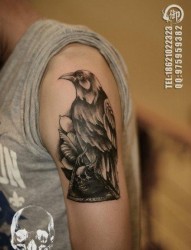 手臂流行很酷的一张乌鸦纹身图片