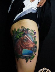 腿部帅气前卫的马纹身图片