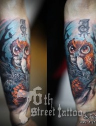手臂前卫帅气的猫头鹰纹身图片