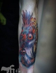 手臂流行经典的一张彩色猫头鹰纹身图片