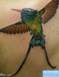 后背经典流行的一张小鸟纹身图片