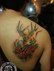 肩背流行前卫的一张小鹿纹身图片
