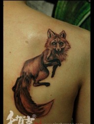 肩背前卫经典的一张狐狸纹身图片
