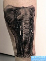 推荐大家欣赏一张大象纹身图片
