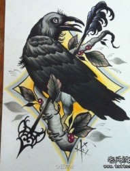 经典前卫的一张乌鸦纹身手稿