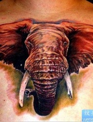 胸口上一张霸气大象纹身图片