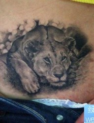 女人腹部流行经典的狮子纹身图片