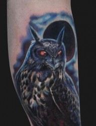小腿上一张猫头鹰纹身作品