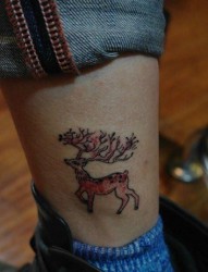 腿部流行漂亮的彩色梅花鹿纹身图片