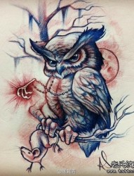 前卫流行的一张猫头鹰纹身手稿