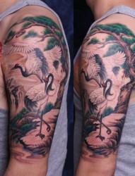 一组丹顶鹤纹身图片