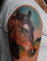 大臂上一张马头纹身图片