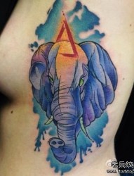 美女侧胸经典前卫的大象纹身图片