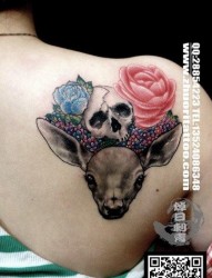 美女肩背唯美前卫的小鹿骷髅纹身图片