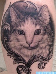 一张可爱的猫咪纹身图片