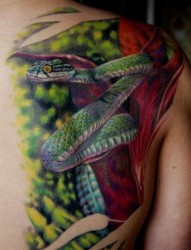 后背上一张逼真的蛇纹身图案