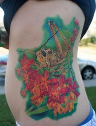 美女侧腰上一张彩色螳螂纹身图片